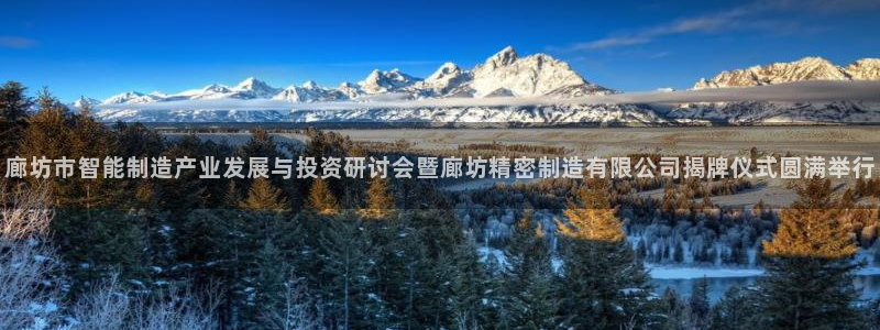 彩神vll购彩大厅：廊坊市智能制造产业发展与投资研讨会暨廊坊精密制造有限公司揭牌仪式圆满举行