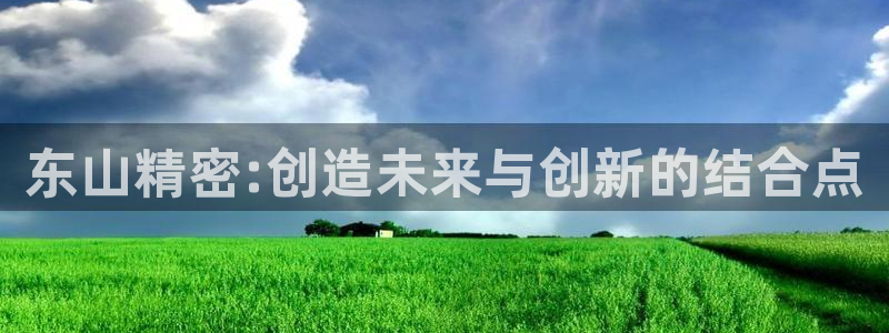 彩神iv能赚钱吗：东山精密:创造未来与创新的结合点