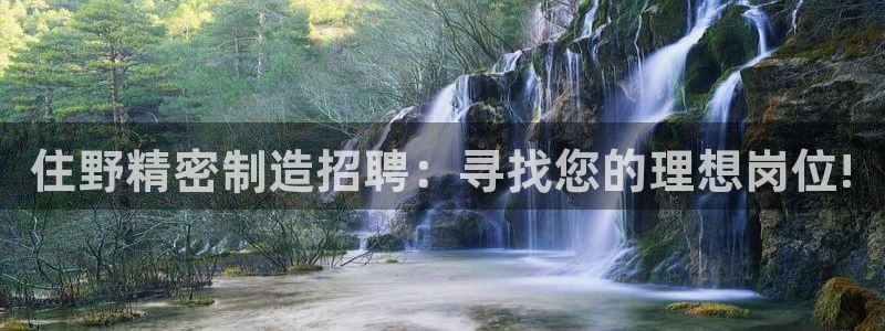 彩神8是正规平台吗是正品吗：住野精密制造招聘：寻找您的理想岗位!