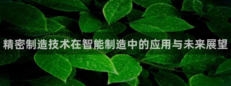 彩神是正规平台吗是真的吗：精密制造技术在智能制造中的应用与未来展望