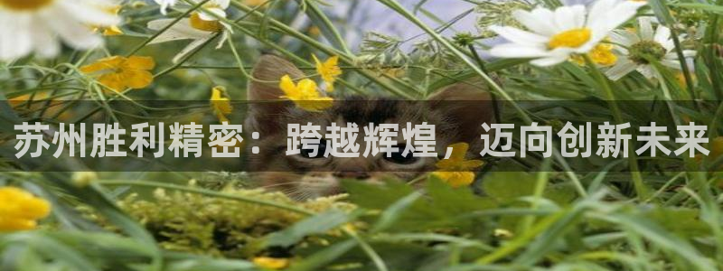 彩神8app官方下载：苏州胜利精密：跨越辉煌，迈向创新未来