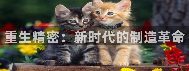 彩神v8是真的挣钱吗安全吗：重生精密：新时代的制造革命