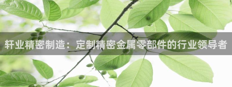 所有彩神购买首页中心：轩业精密制造：定制精密金属零部件的行业领导者