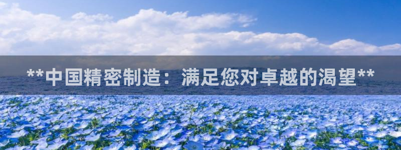 彩神是怎样一个平台：**中国精密制造：满足您对卓越的渴望**