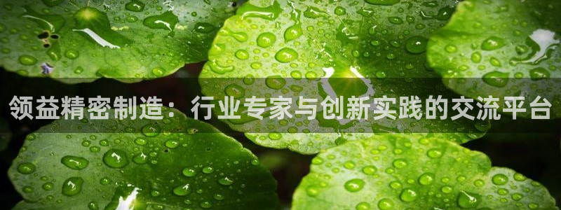 彩神8官网合法吗：领益精密制造：行业专家与创新实践的交流平台