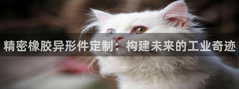 彩神vllⅰ购彩大厅：精密橡胶异形件定制：构建未来的工业奇迹