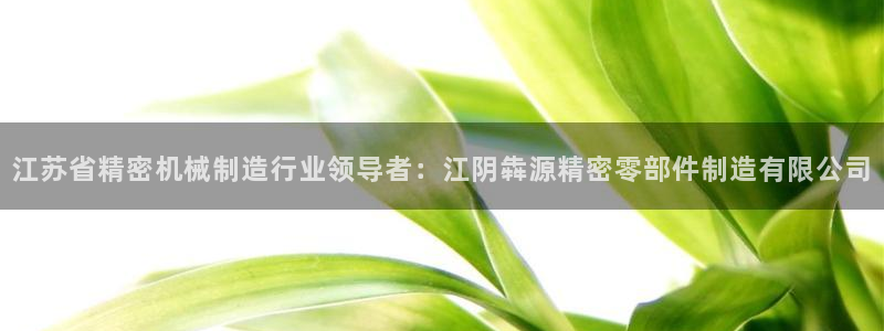 彩神vlll官方网：江苏省精密机械制造行业领导者：江阴犇源精密零部件制造有限公司