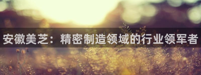 彩神v8手机客户端下载：安徽美芝：精密制造领域的行业领军者