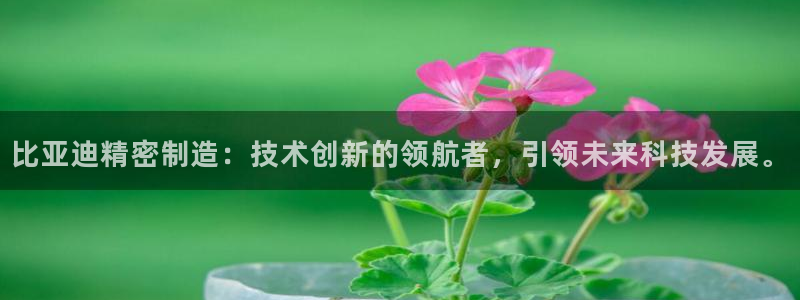 彩神赢了钱登录不上去：比亚迪精密制造：技术创新的领航者，引领未来科技发展。