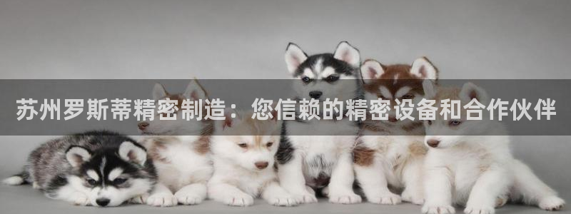 彩神xapp官方网站：苏州罗斯蒂精密制造：您信赖的精密设备和合作伙伴