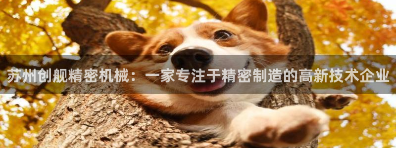 彩神大发官网：苏州创舰精密机械：一家专注于精密制造的高新技术企业