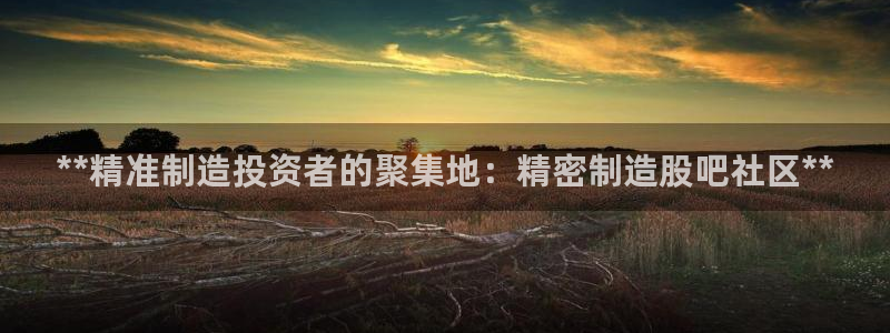 彩神x平台靠什么盈利：**精准制造投资者的聚集地：精密制造股吧社区**