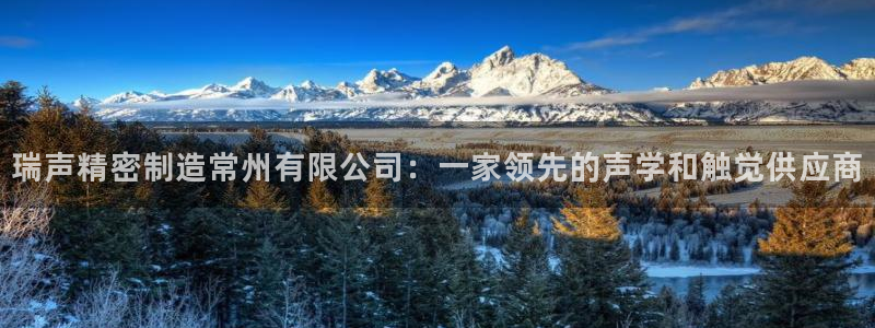 彩神vll官网在线登录：瑞声精密制造常州有限公司：一家领先的声学和触觉供应商