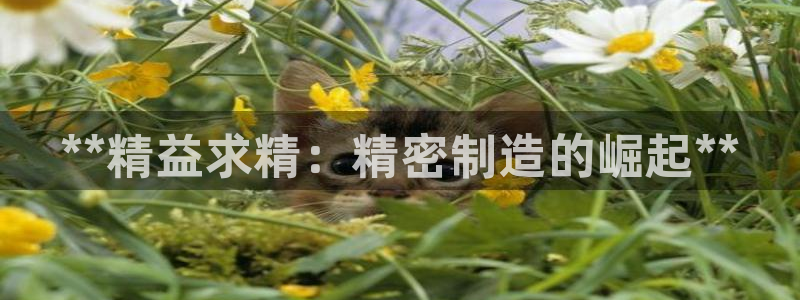 彩神8是正规平台吗是正品吗：**精益求精：精密制造的崛起**