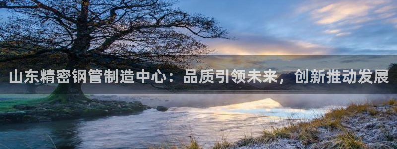 彩神8是正规平台吗知乎：山东精密钢管制造中心：品质引领未来，创新推动发展