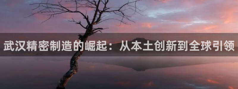 彩神VII购彩中心：武汉精密制造的崛起：从本土创新到全球引领