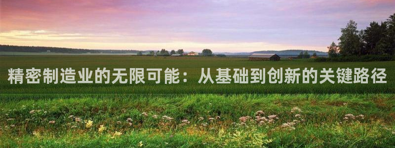 彩神V8有限公司：精密制造业的无限可能：从基础到创新的关键路径