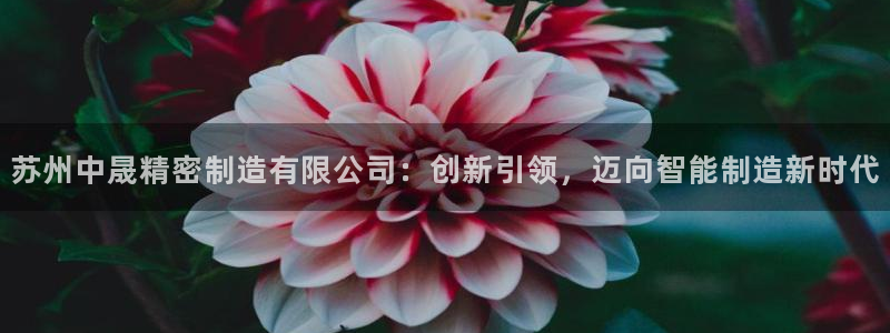 彩神v8是一个什么平台：苏州中晟精密制造有限公司：创新引领，迈向智能制造新时代