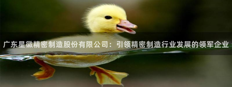 彩神Vll购彩大厅：广东星徽精密制造股份有限公司：引领精密制造行业发展的领军企业