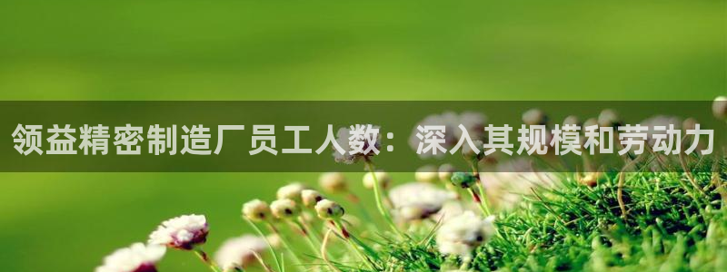 彩神8官网合法吗：领益精密制造厂员工人数：深入其规模和劳动力