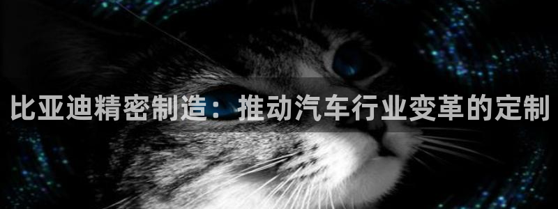 彩神Vii购彩-购彩大厅：比亚迪精密制造：推动汽车行业变革的定制