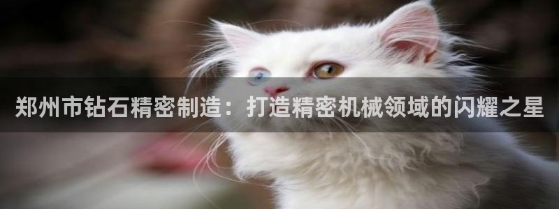 彩神vlll官方网：郑州市钻石精密制造：打造精密机械领域的闪耀之星