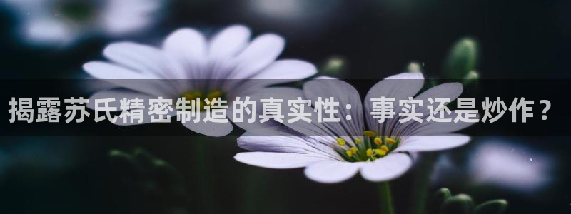 所有彩神购买首页：揭露苏氏精密制造的真实性：事实还是炒作？