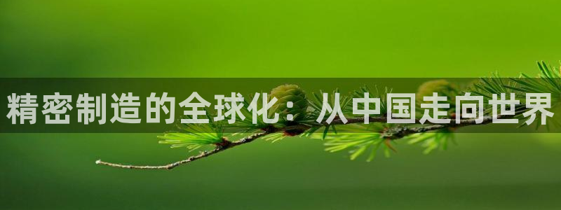 下载彩神争霸谁与我争锋：精密制造的全球化：从中国走向世界