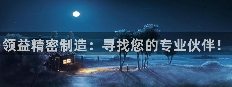 彩神v网赌软件下载：领益精密制造：寻找您的专业伙伴！