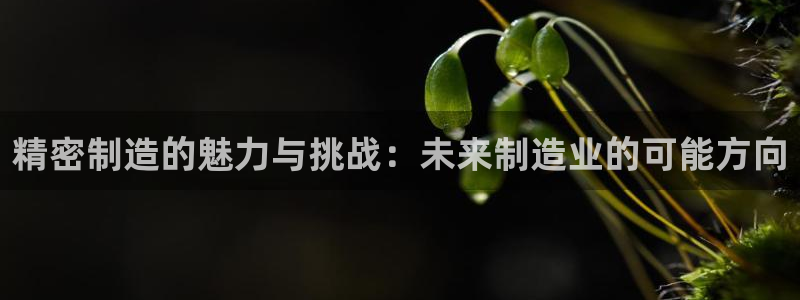 彩神ix是真的吗：精密制造的魅力与挑战：未来制造业的可能方向