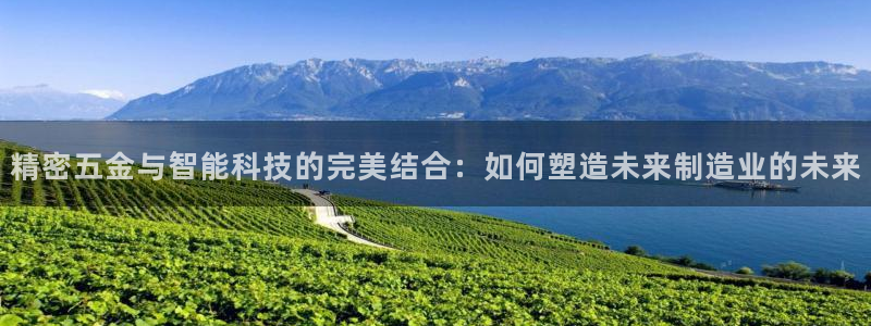 新版彩神v8登录不上去：精密五金与智能科技的完美结合：如何塑造未来制造业的未来