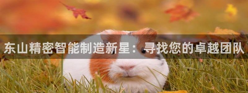 彩神是怎样一个平台：东山精密智能制造新星：寻找您的卓越团队