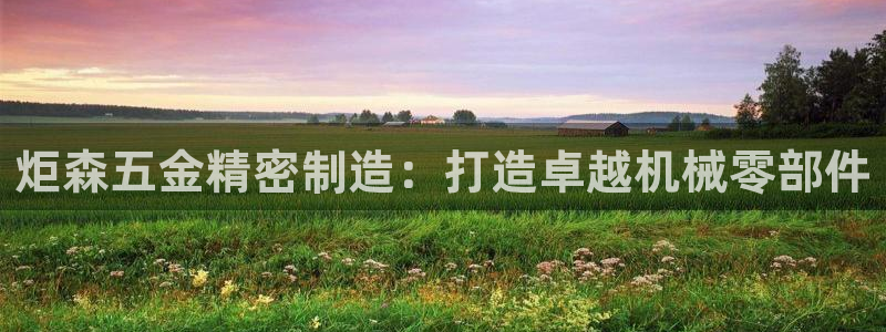 彩神怎么才能赢：炬森五金精密制造：打造卓越机械零部件