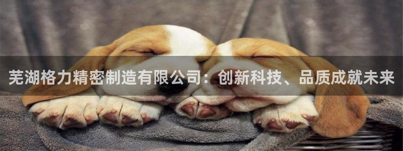 彩神购彩-购彩大厅入口计划群：芜湖格力精密制造有限公司：创新科技、品质成就未来