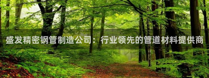 彩神v8手机客户端在哪：盛发精密钢管制造公司：行业领先的管道材料提供商
