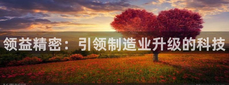 彩神怎么样可以提现：领益精密：引领制造业升级的科技