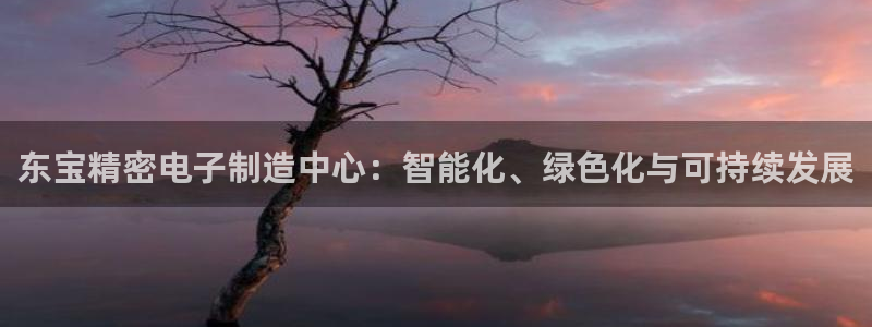 彩神官方邀请码是多少：东宝精密电子制造中心：智能化、绿色化与可持续发展