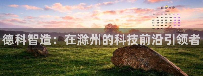 彩神购彩-购彩大厅入口500：德科智造：在滁州的科技前沿引领者