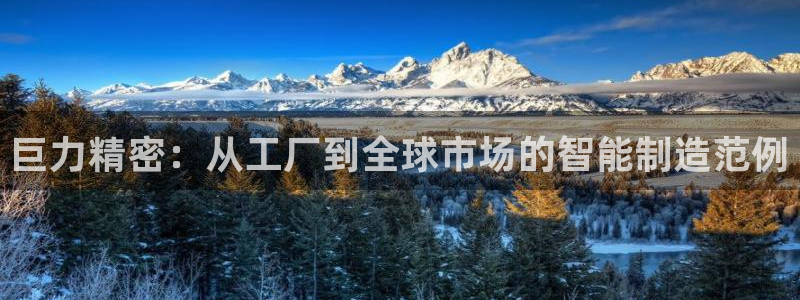 彩神v8是真的挣钱吗安全吗：巨力精密：从工厂到全球市场的智能制造范例