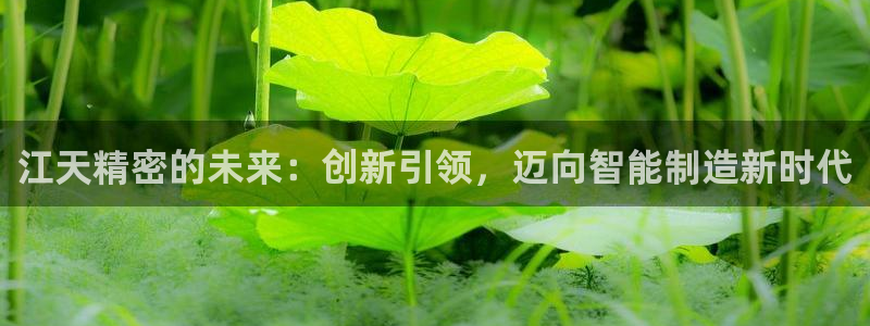 彩神赢钱了吗知乎：江天精密的未来：创新引领，迈向智能制造新时代