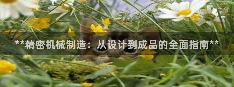 彩神vip官方网站：**精密机械制造：从设计到成品的全面指南**