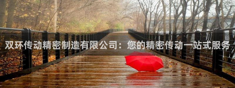 彩神iv能赚钱吗：双环传动精密制造有限公司：您的精密传动一站式服务