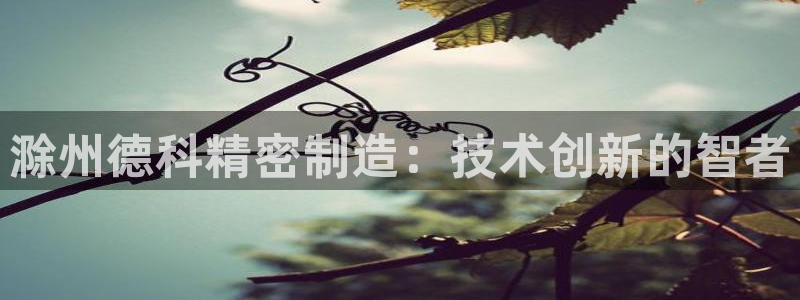 彩神v8下载网址：滁州德科精密制造：技术创新的智者